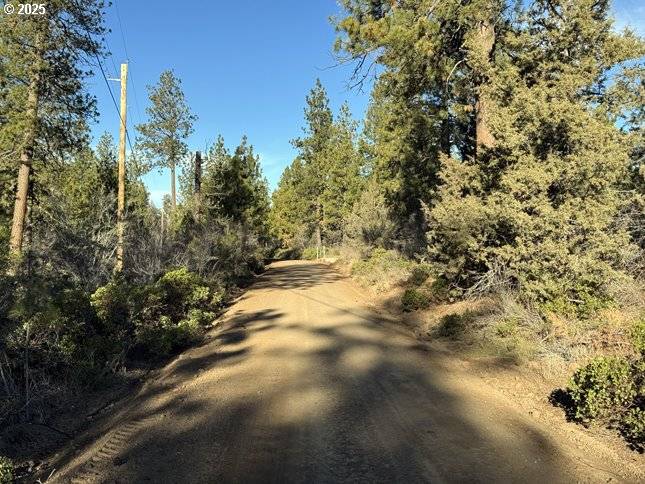 Hummingbird DR #13, Bonanza, OR 97623