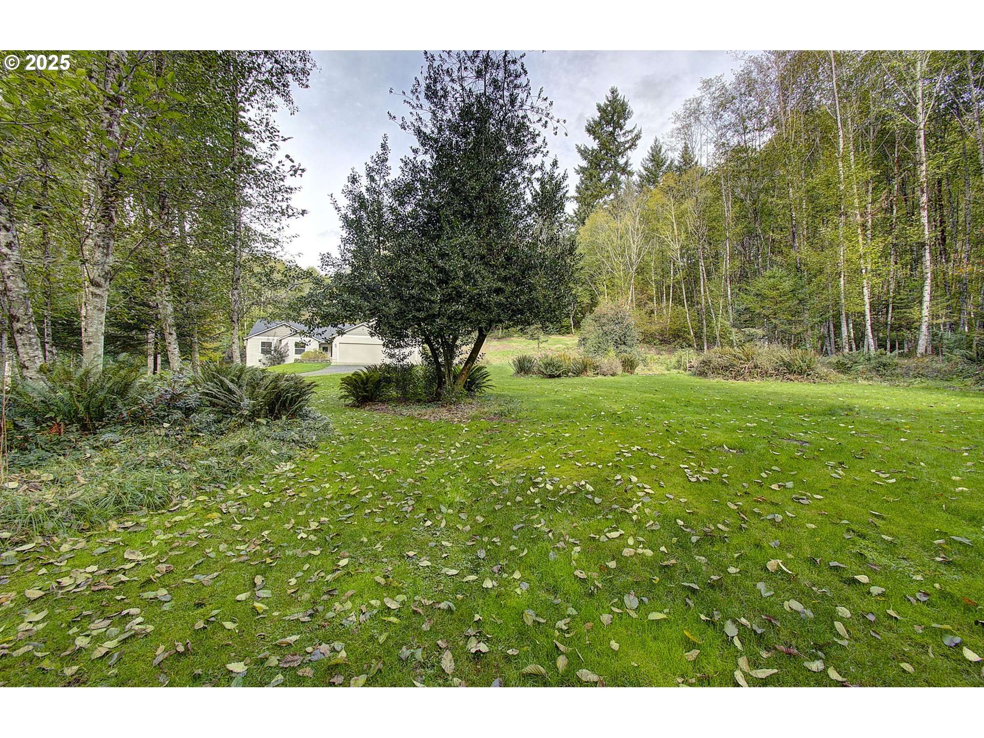 251 MYSTERY DR, Amboy, WA 98601