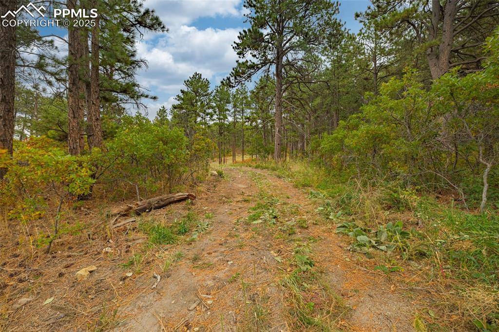 14420 S Perry Park RD, Larkspur, CO 80118