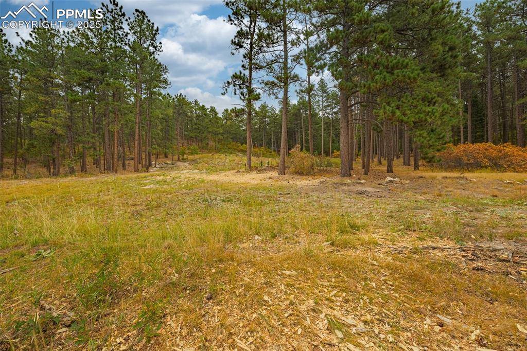 14420 S Perry Park RD, Larkspur, CO 80118