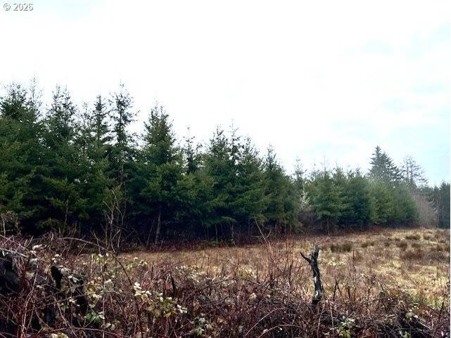 76781 PALM HILL RD, Clatskanie, OR 97016