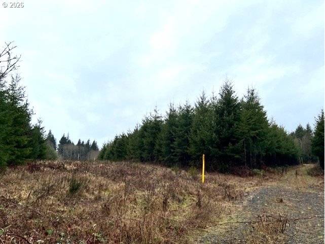 76781 PALM HILL RD, Clatskanie, OR 97016