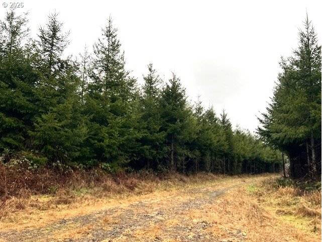 76781 PALM HILL RD, Clatskanie, OR 97016