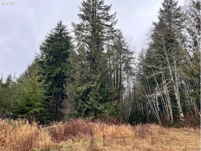 76781 PALM HILL RD, Clatskanie, OR 97016