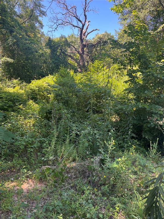 0 Ponderosa Drive, Eustace, TX 75124