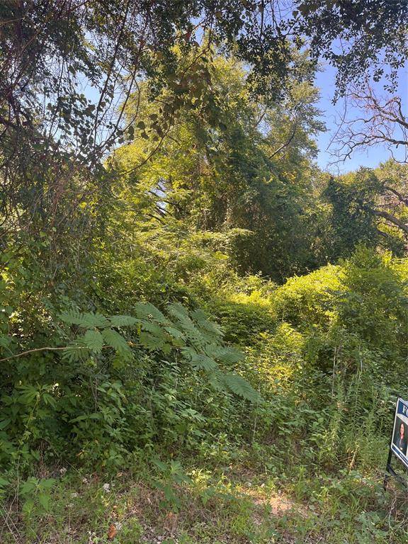 0 Ponderosa Drive, Eustace, TX 75124