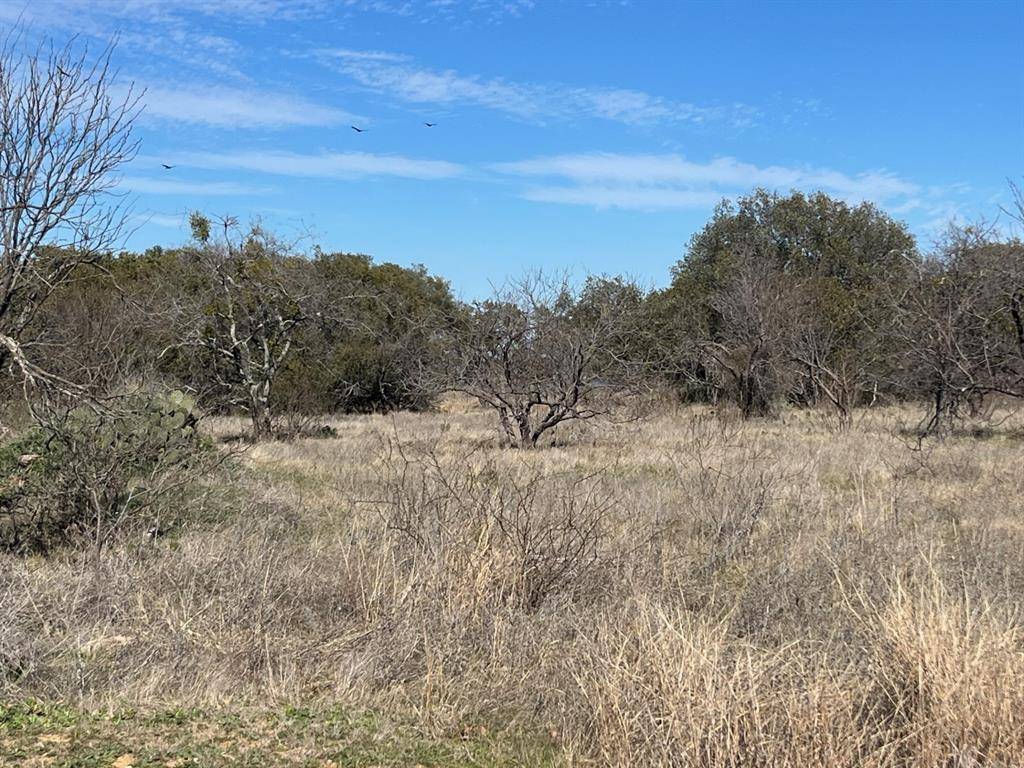 TBD1 Summer Wind Drive, Brownwood, TX 76801