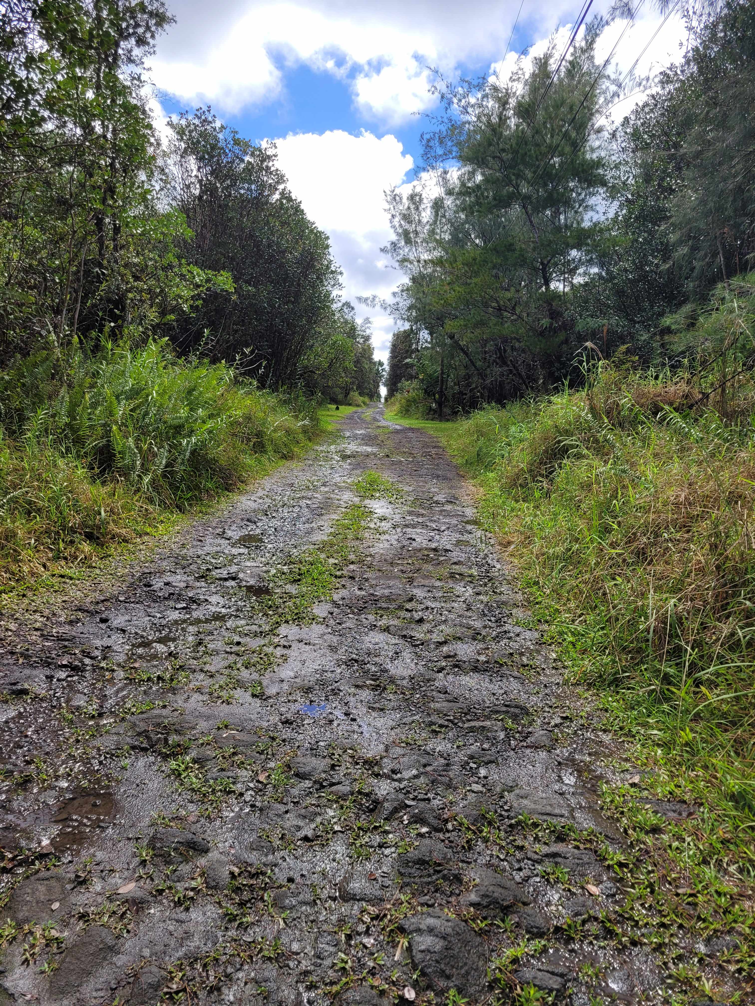 ROAD 5 (UAU), Kurtistown, HI 96760