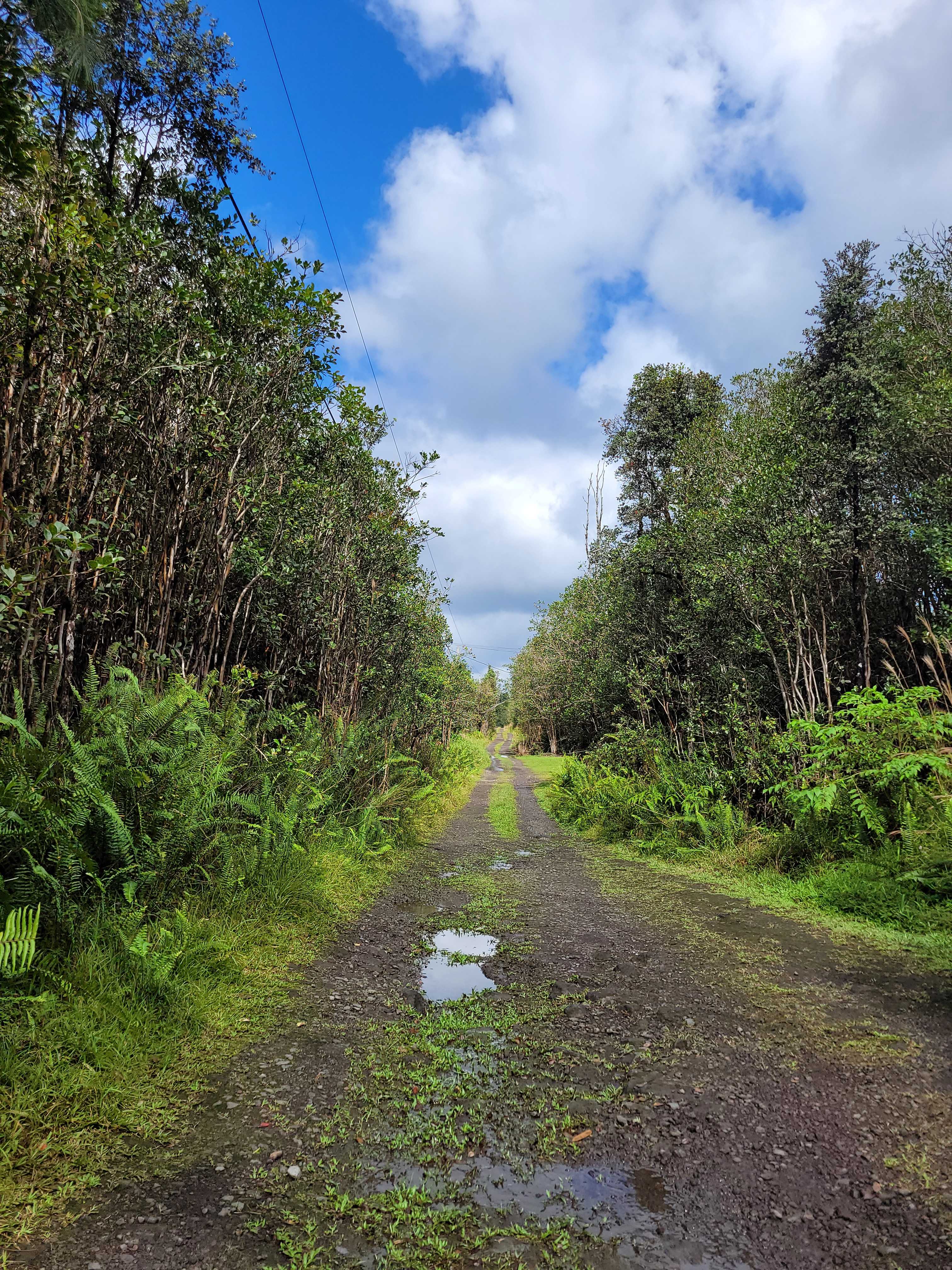 ROAD 5 (UAU), Kurtistown, HI 96760