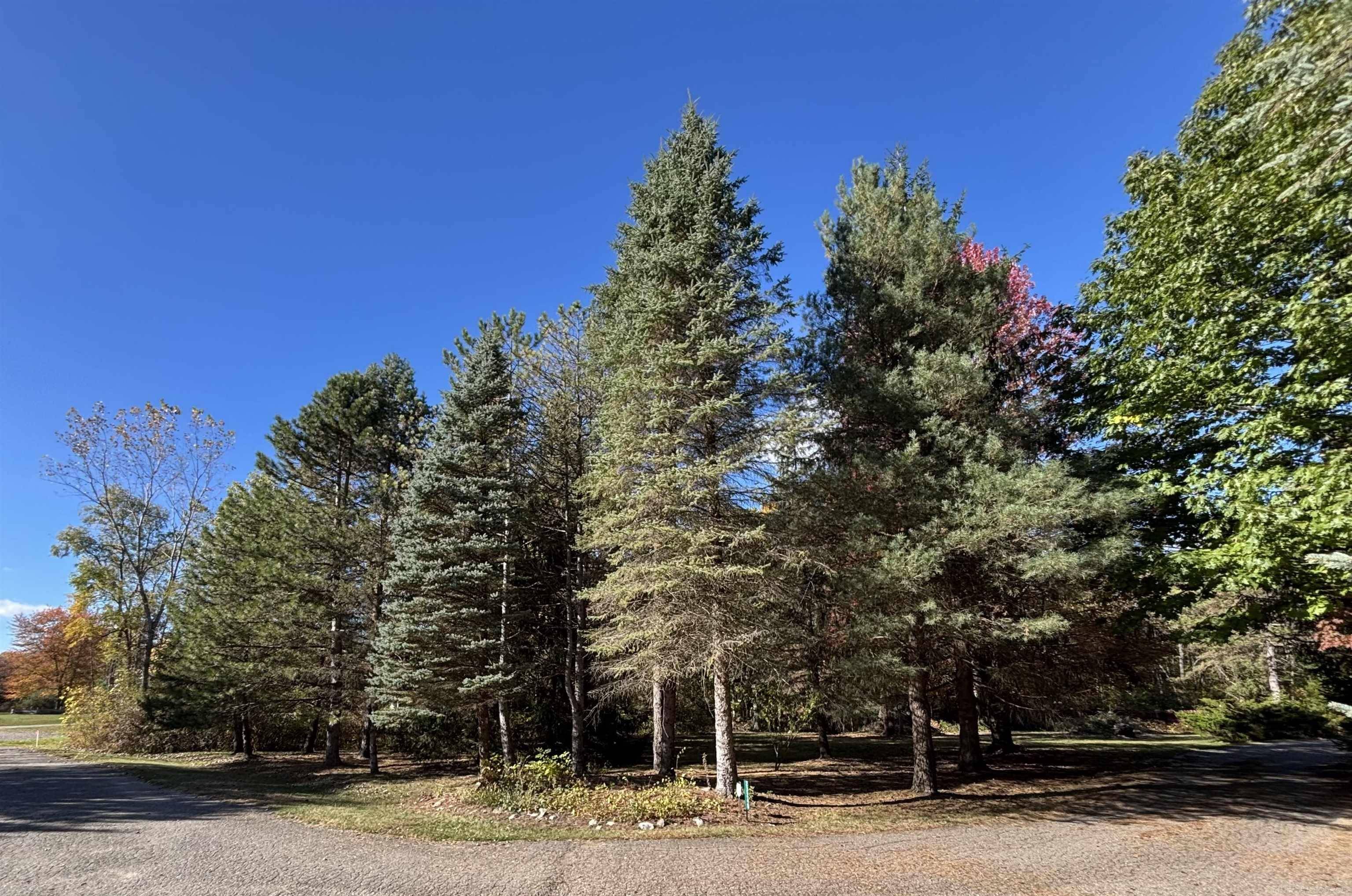 0 Simcheck DR, Lyon Twp, MI 48167