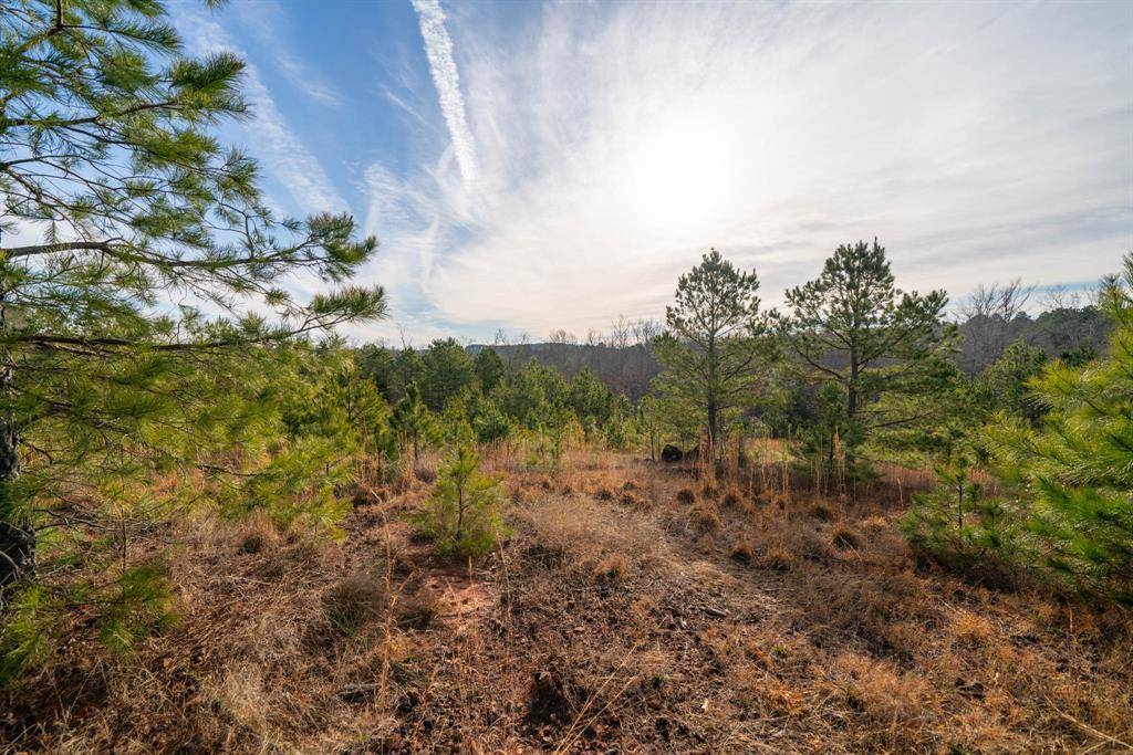 TBD Athens Church Road, Hallsville, TX 75650