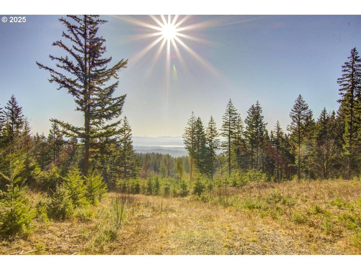 29110 NE Hancock RD, Camas, WA 98607
