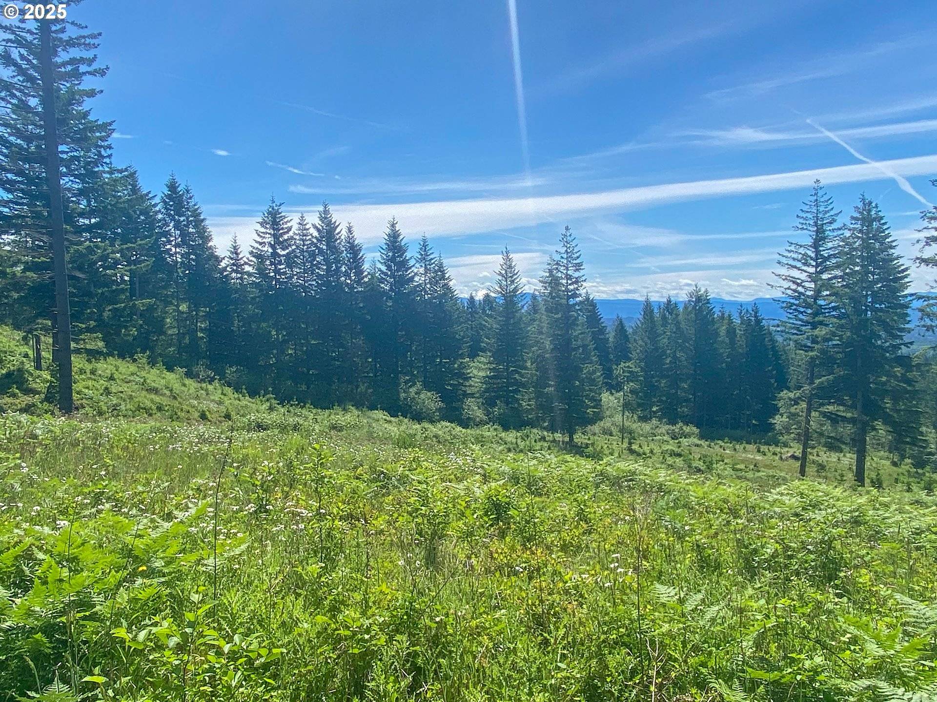 29110 NE Hancock RD, Camas, WA 98607