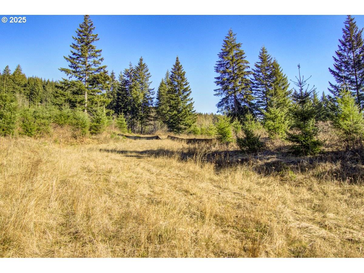 29110 NE Hancock RD, Camas, WA 98607