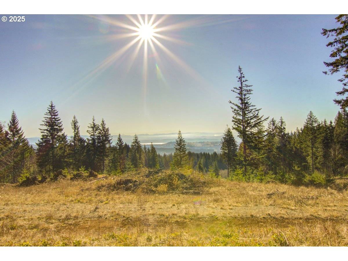 29110 NE Hancock RD, Camas, WA 98607