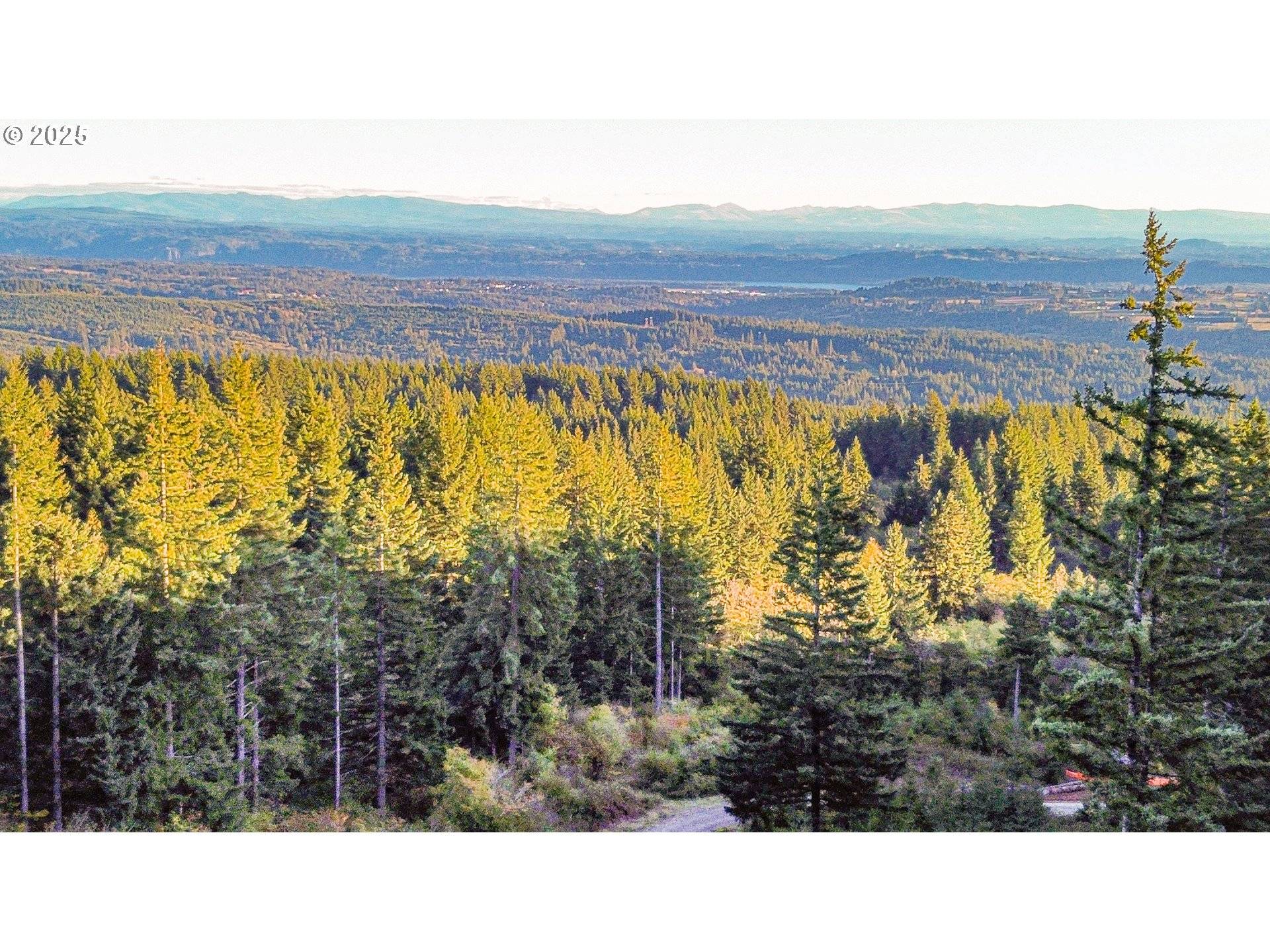 29104 NE Hancock RD, Camas, WA 98607
