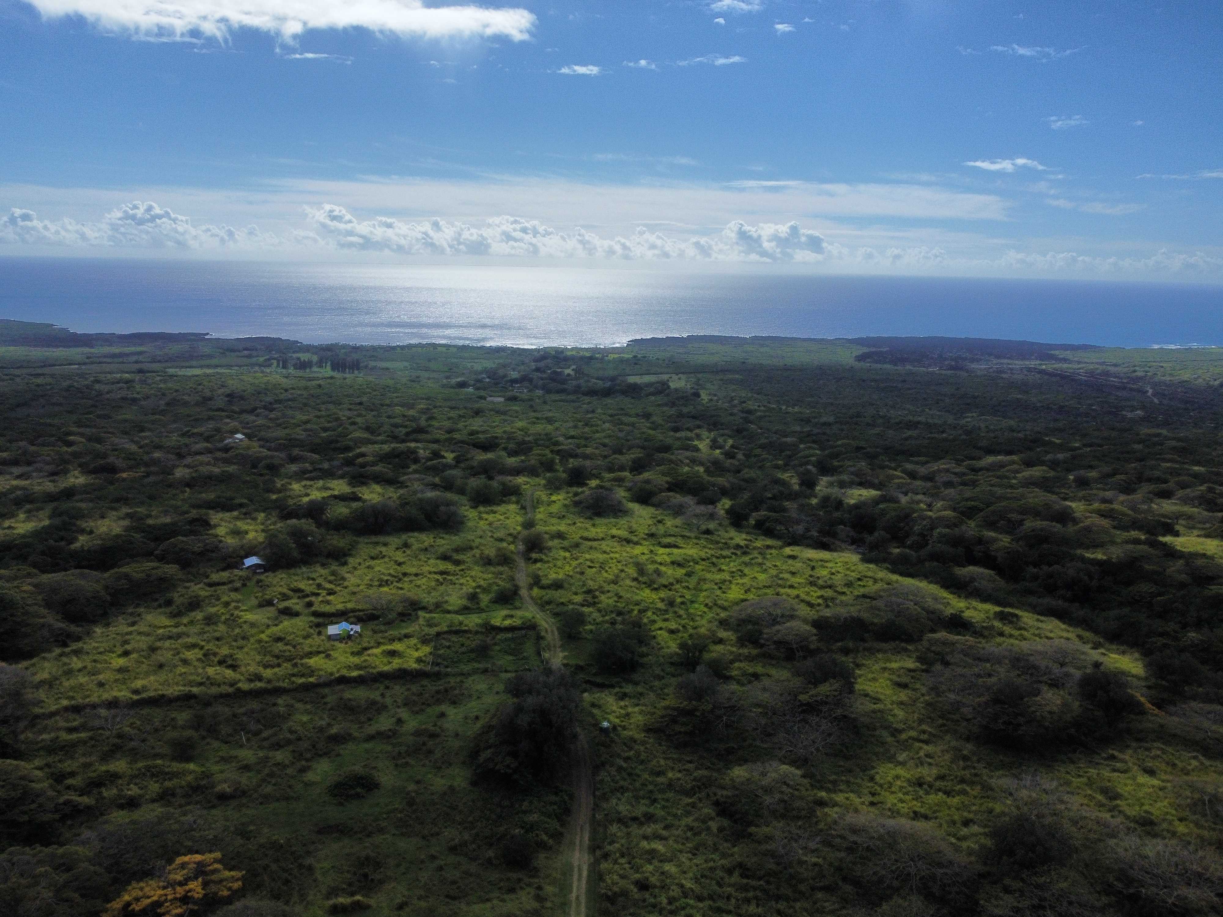 Naalehu, HI 96772