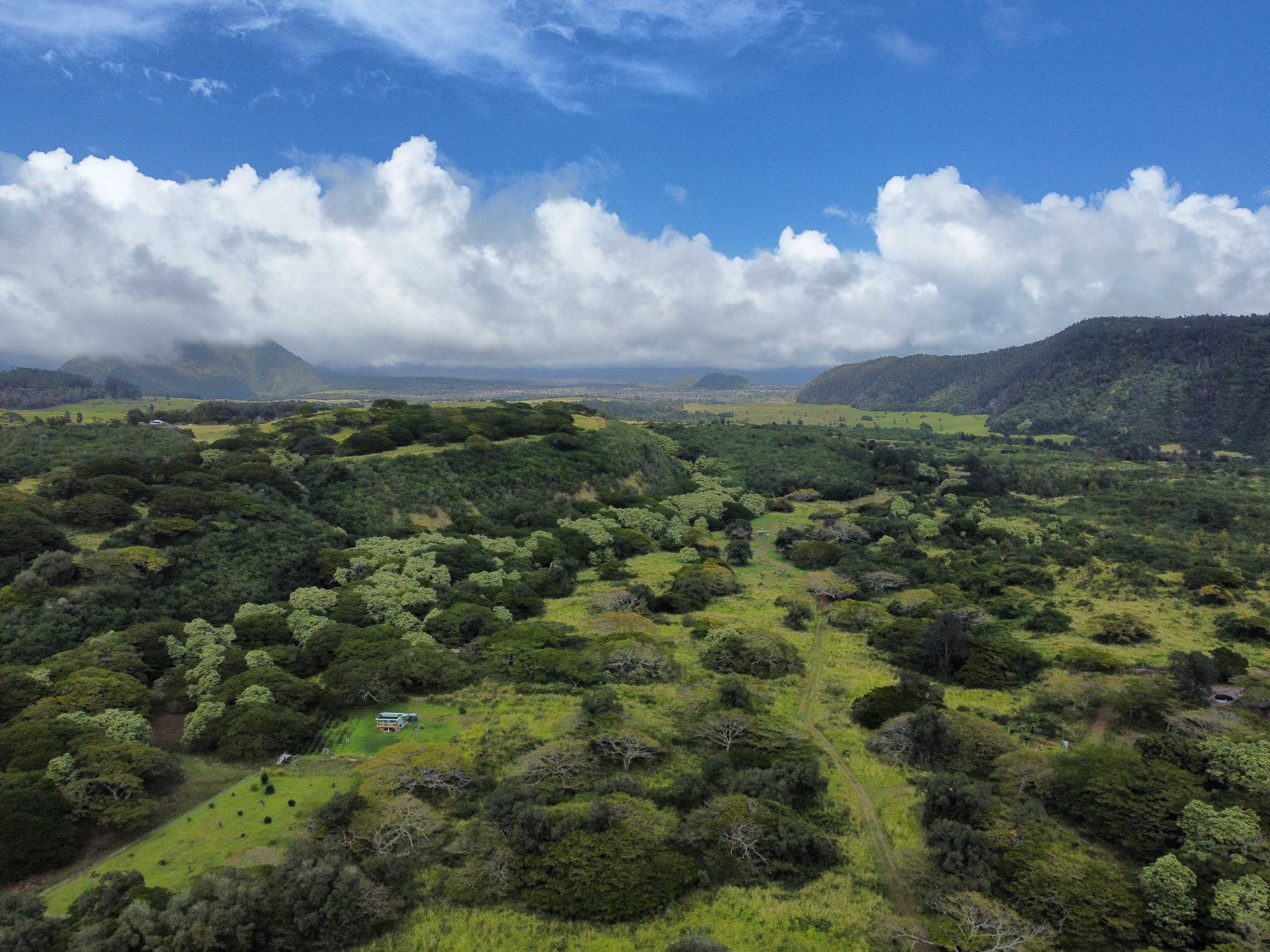 Naalehu, HI 96772