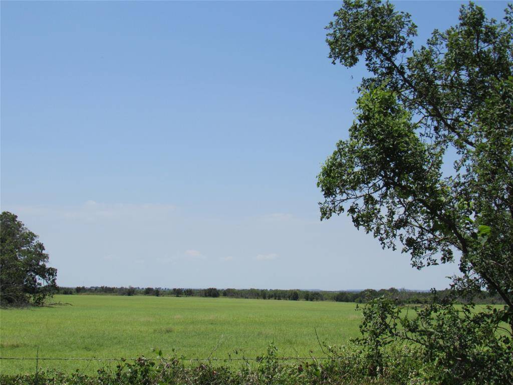 TBD Co Rd 295, Carbon, TX 76435