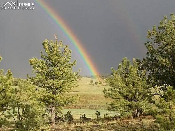 79 Quail CT, Hartsel, CO 80449