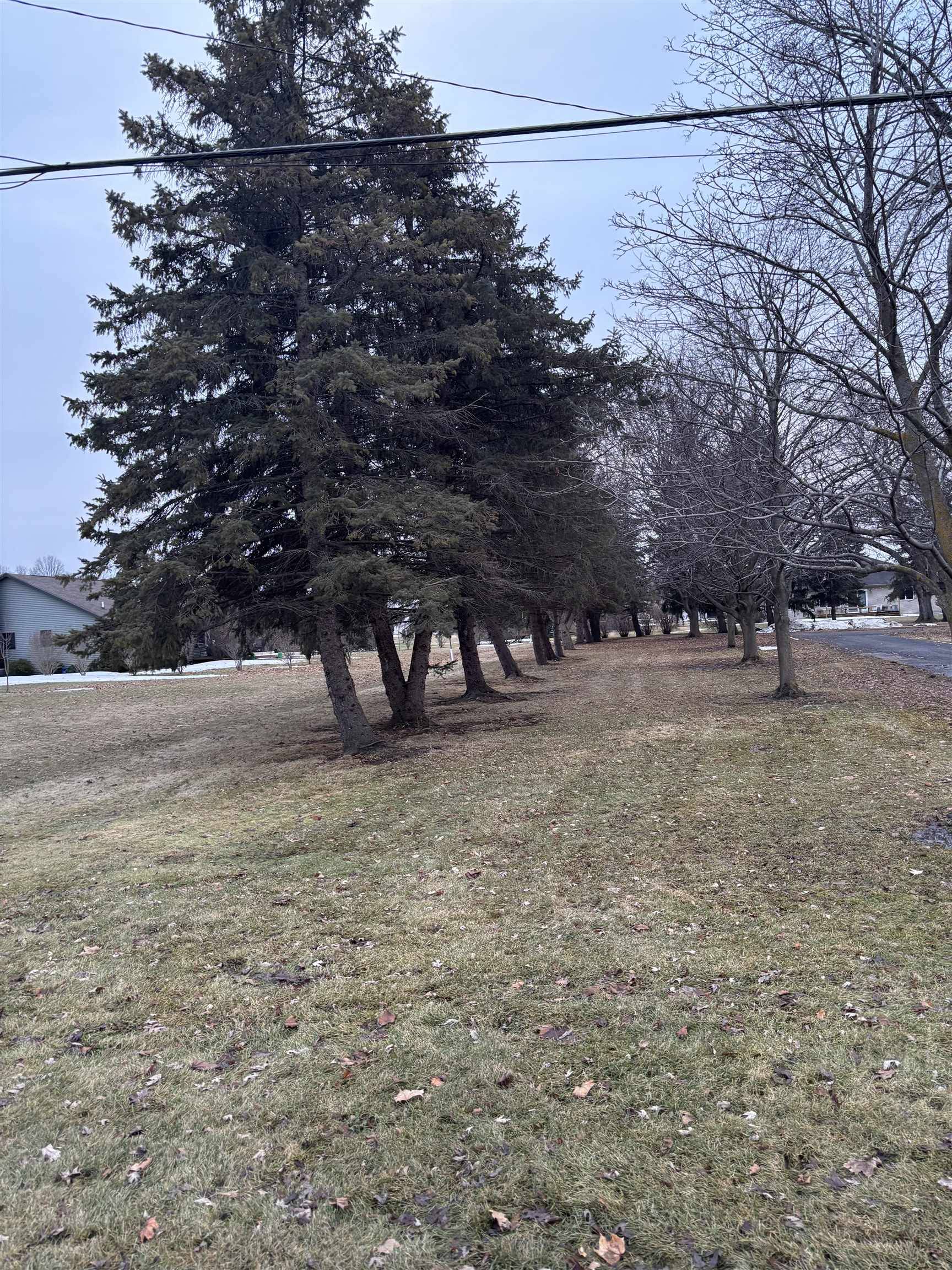 2135 E Pickard RD, Union Twp, MI 48858