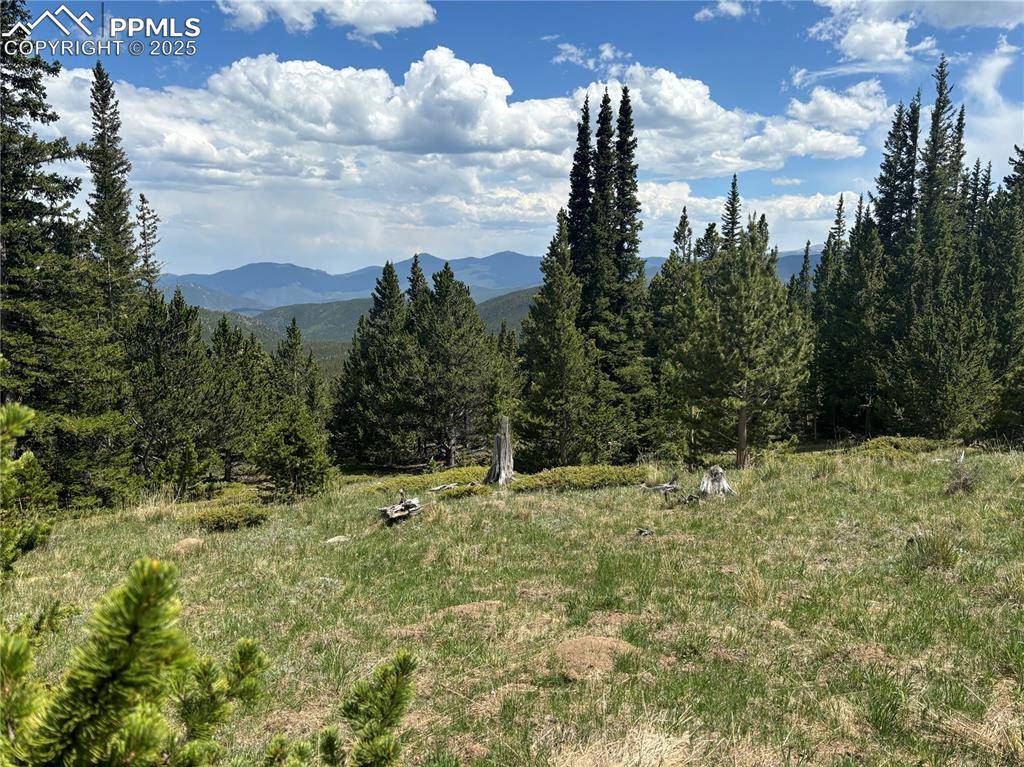 Hilltop RD, Idaho Springs, CO 80452