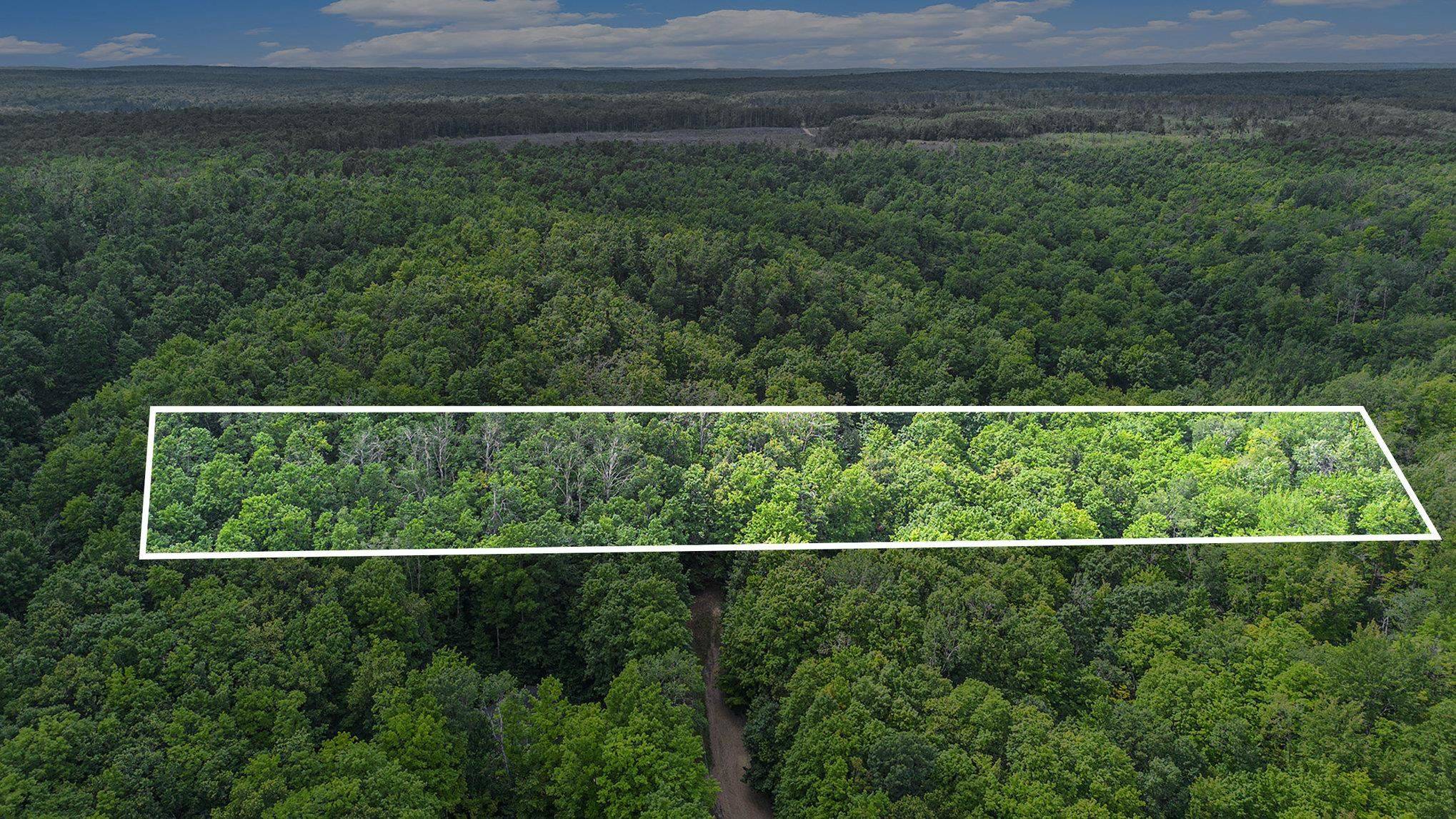 13218 NE Heller CT, Blue Lake Twp, MI 49646