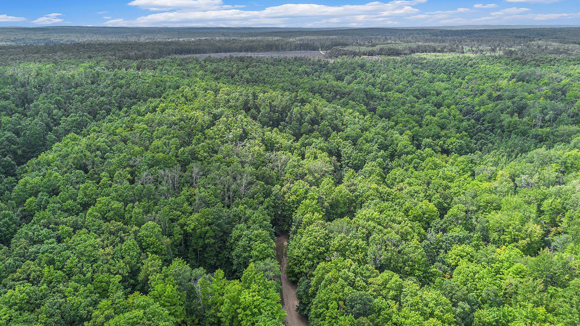 13218 NE Heller CT, Blue Lake Twp, MI 49646