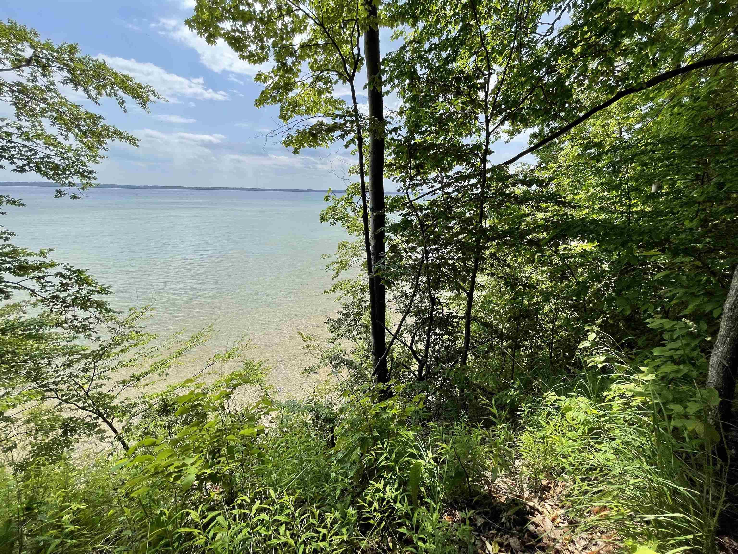 S Lee Point RD, Bingham Twp, MI 49682