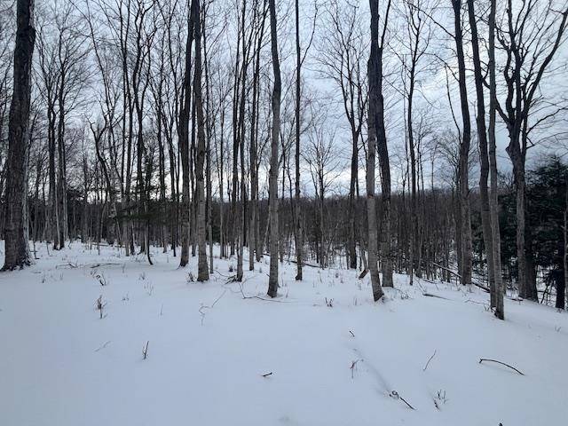 00 Kilkenny LN, Banks Twp, MI 49729