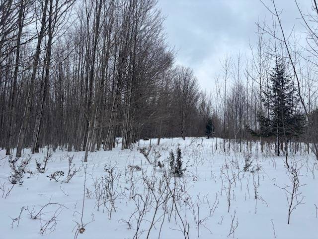 00 Kilkenny LN, Banks Twp, MI 49729