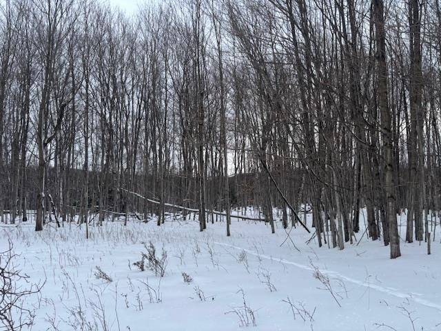 00 Kilkenny LN, Banks Twp, MI 49729