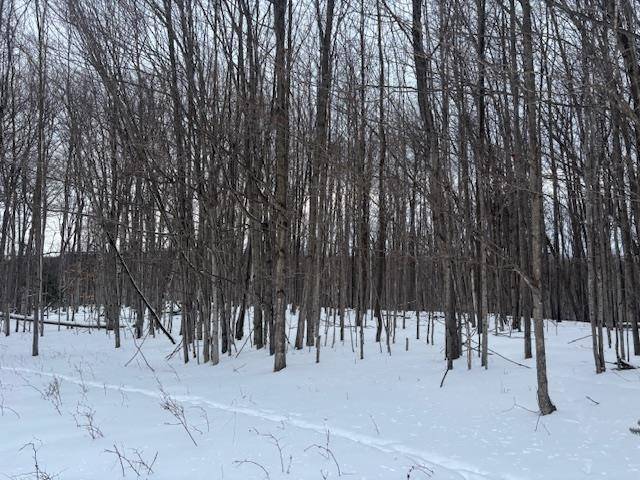 00 Kilkenny LN, Banks Twp, MI 49729