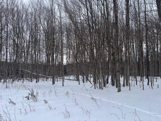 00 Kilkenny LN, Banks Twp, MI 49729