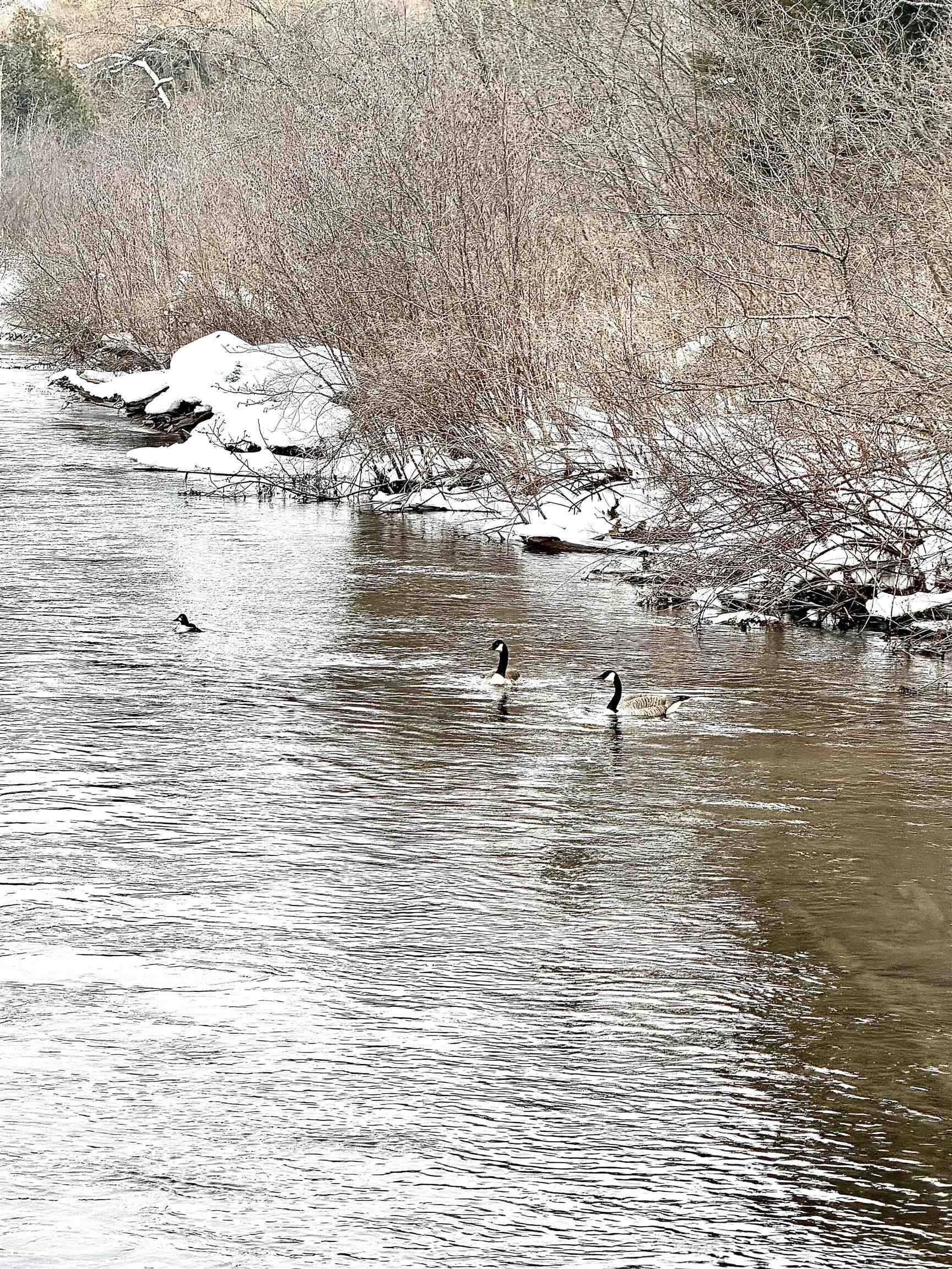 820 Boardman Acres DR, Blair Twp, MI 49696