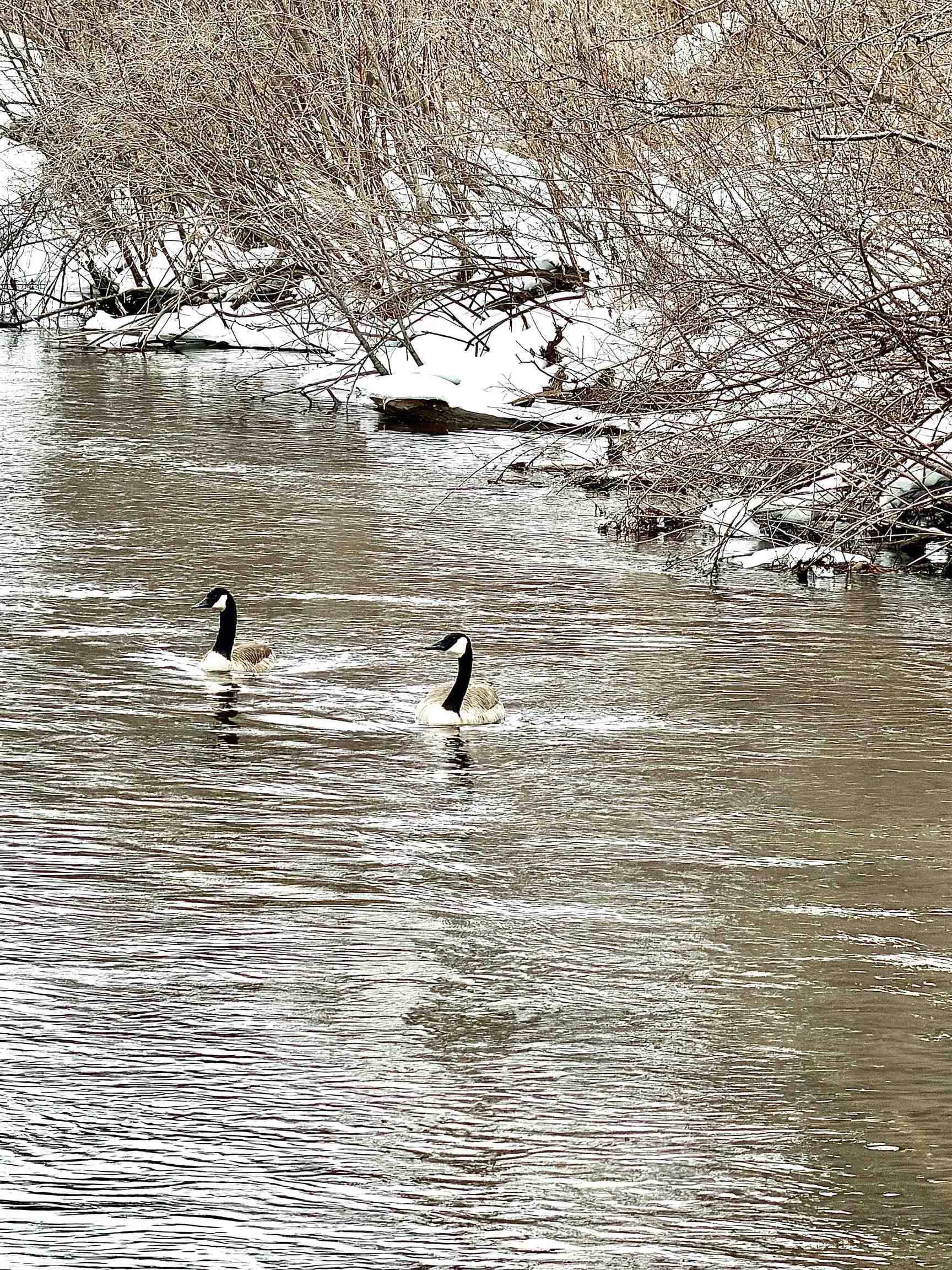 820 Boardman Acres DR, Blair Twp, MI 49696