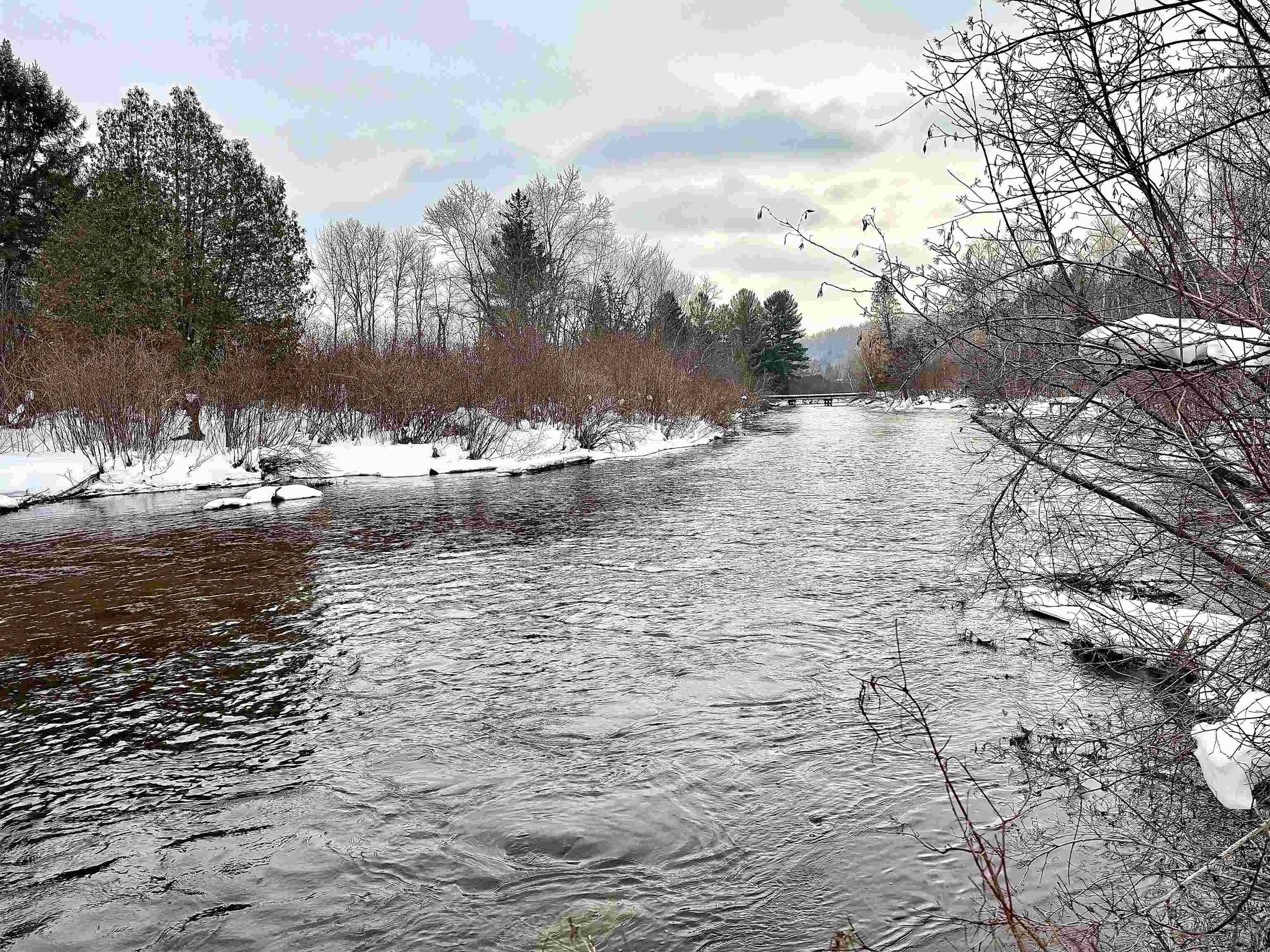 820 Boardman Acres DR, Blair Twp, MI 49696