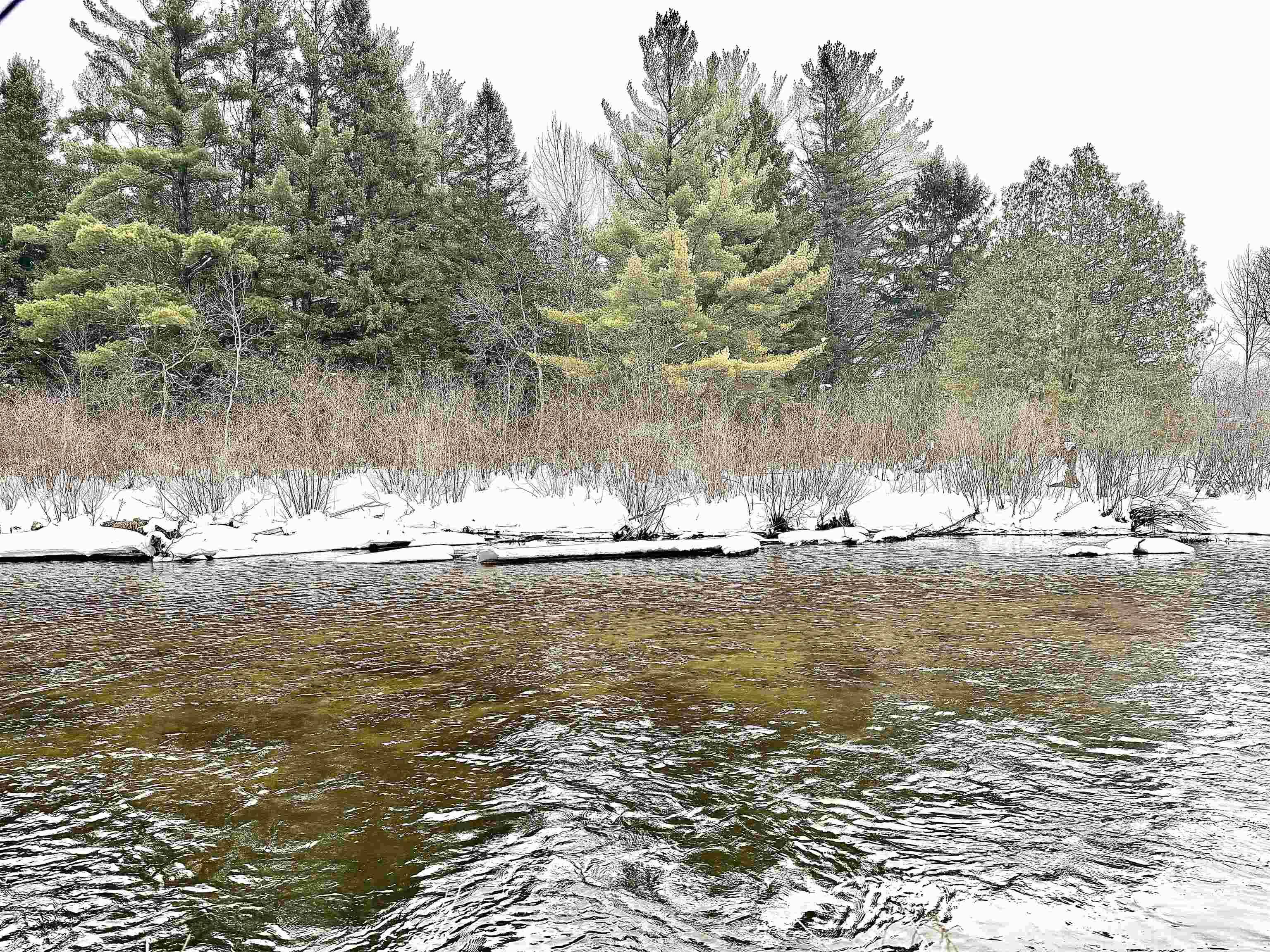 820 Boardman Acres DR, Blair Twp, MI 49696