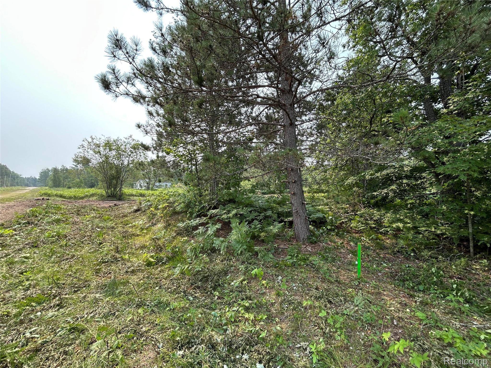 6658 Brookfield CT, Mancelona Township, MI 49730