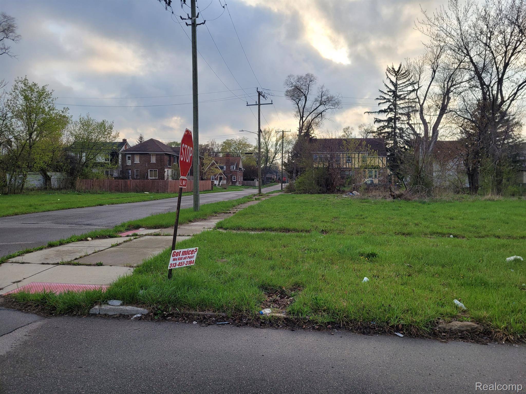 16801 LOG CABIN ST, Highland Park, MI 48203