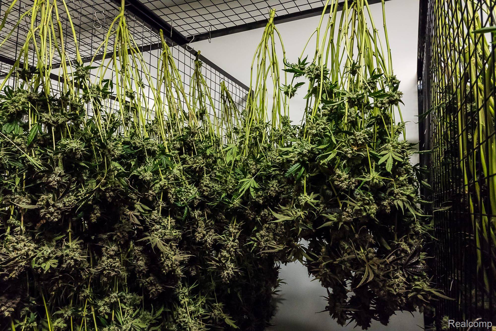 0001 Detroit ST, Detroit, MI 48207