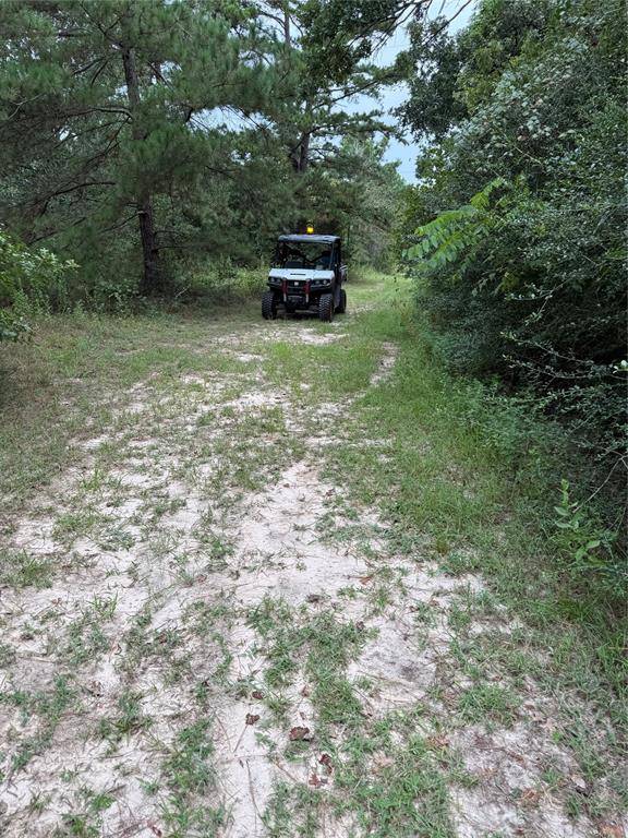 99999 CR 207, Centerville, TX 75833