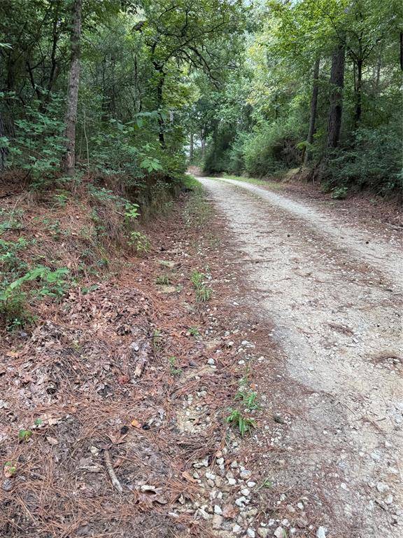 99999 CR 207, Centerville, TX 75833