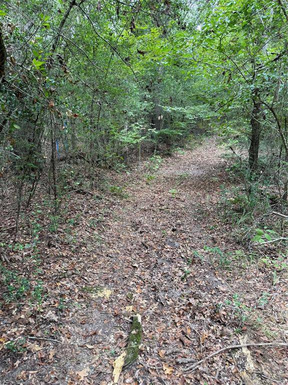 99999 CR 207, Centerville, TX 75833