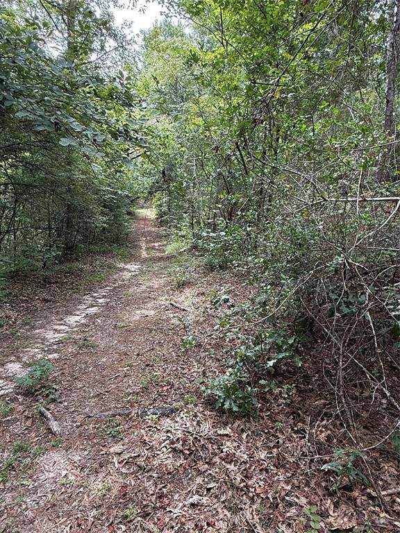 99999 CR 207, Centerville, TX 75833