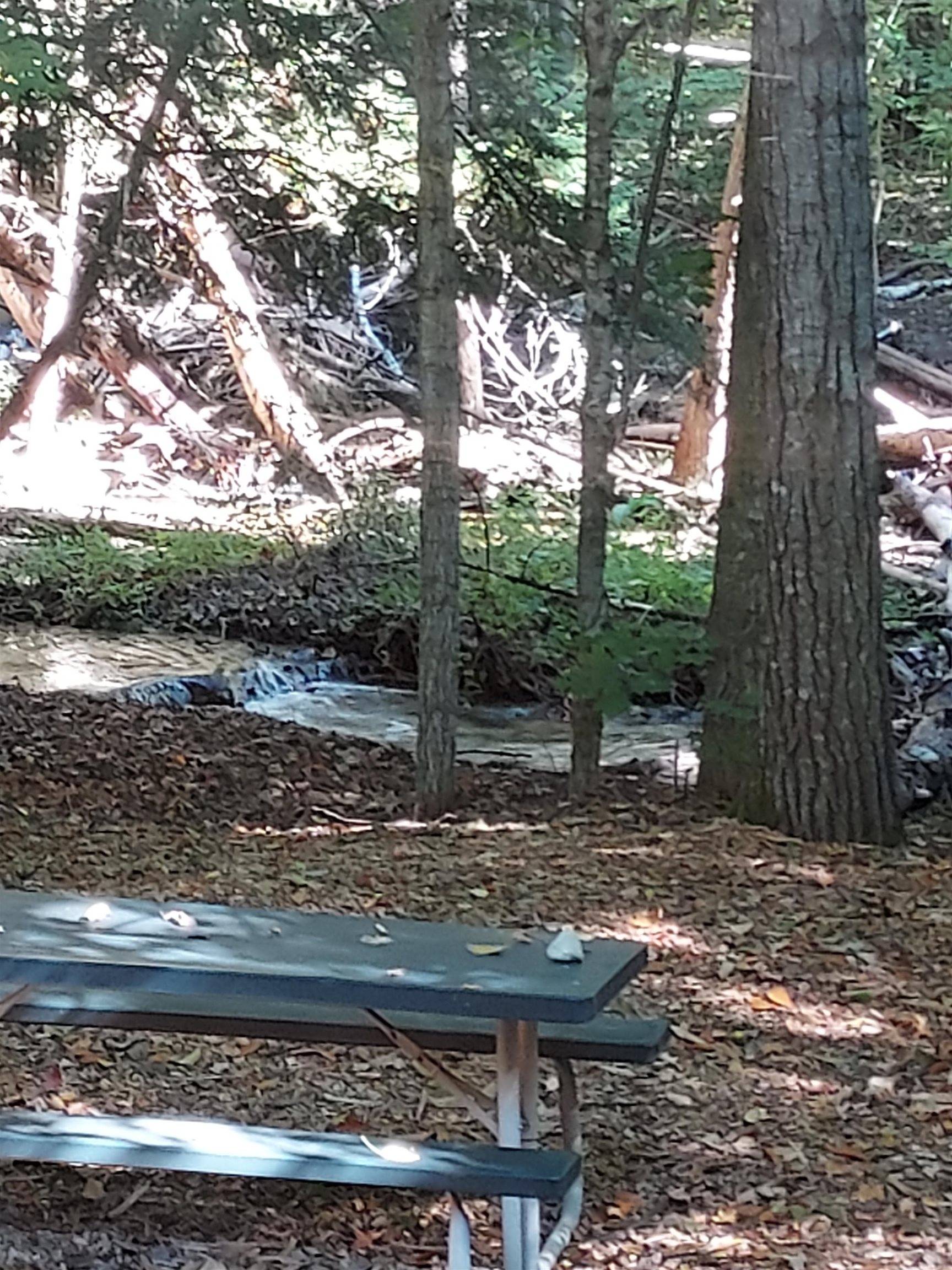 6493 Deer PATH, Custer Twp, MI 49615