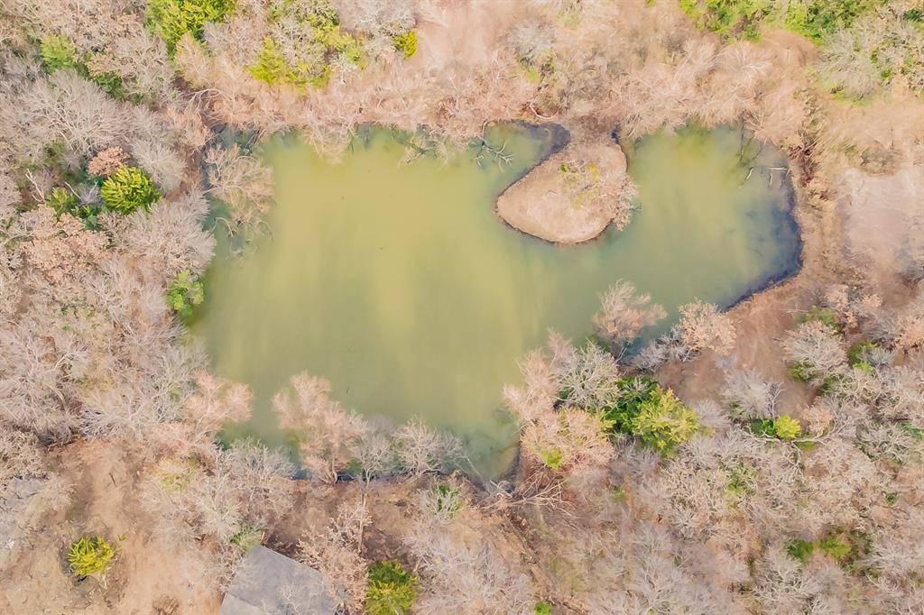 3117 W Division Street, Arlington, TX 76012