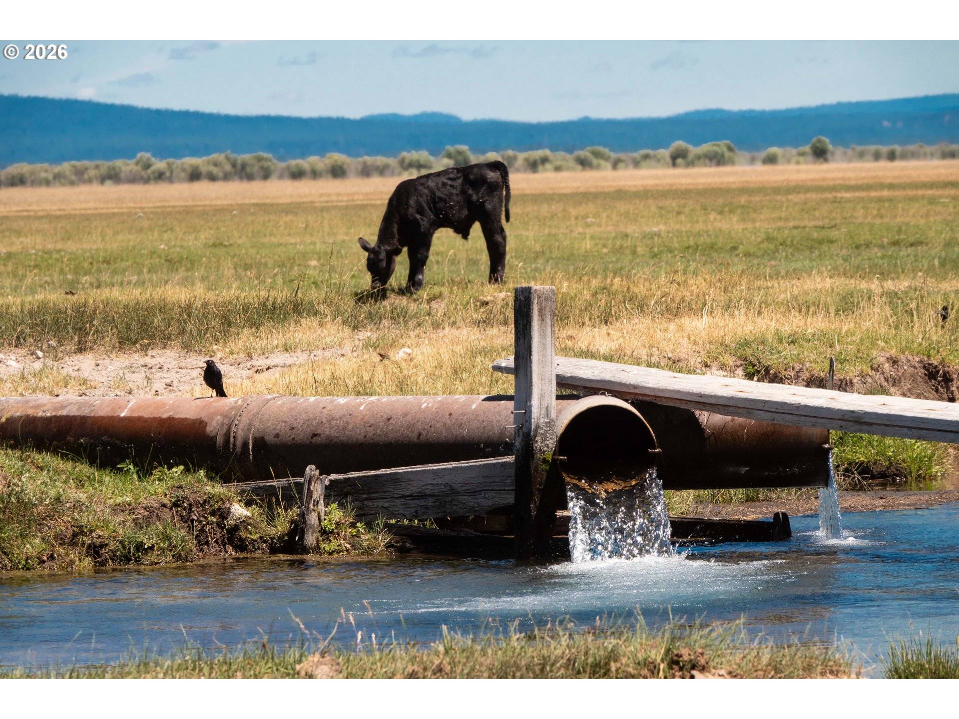 1950 SILVER LAKE RD, Chiloquin, OR 97624