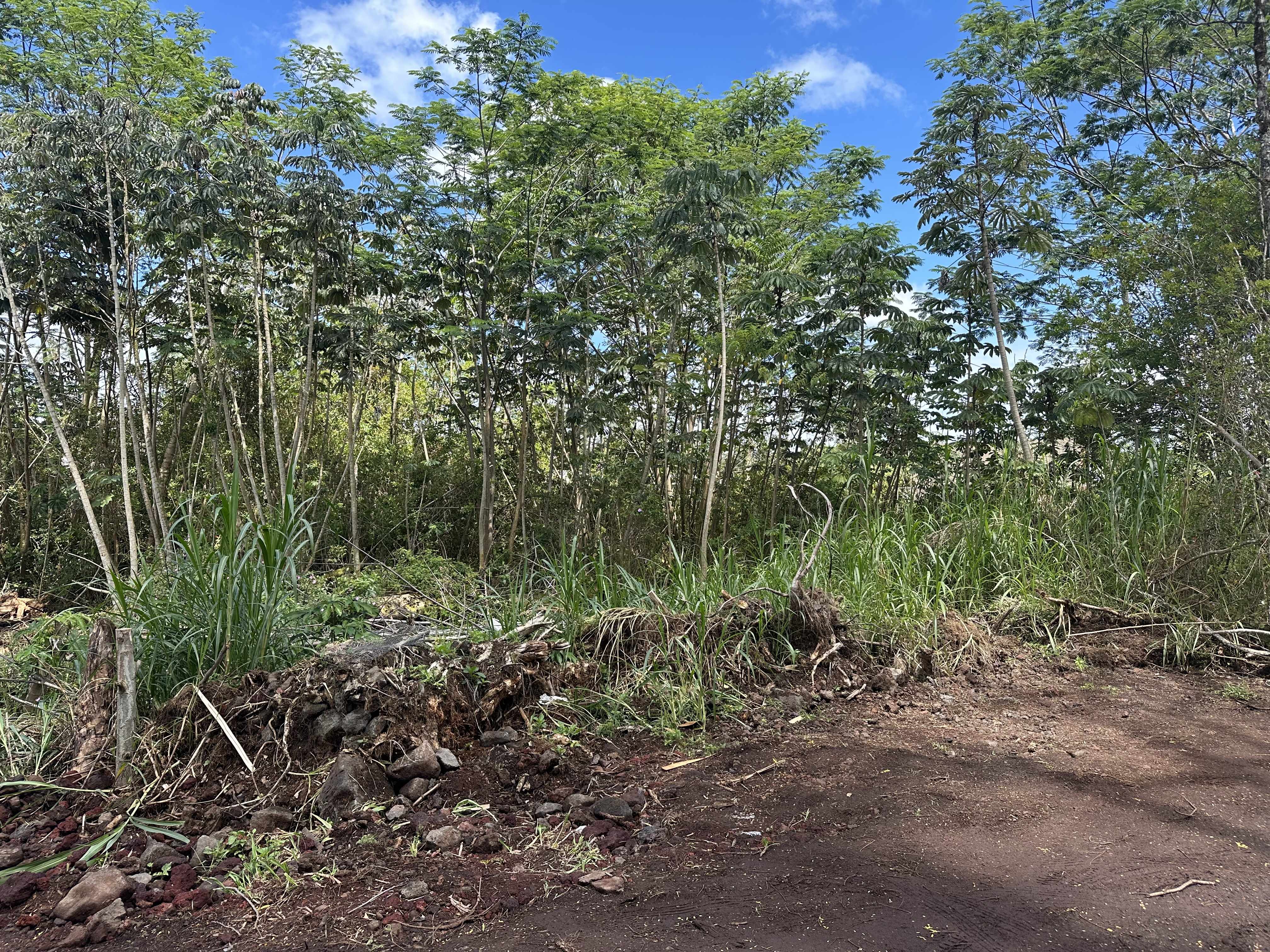 KING KAMEHAMEHA BLVD, Keaau, HI 96749