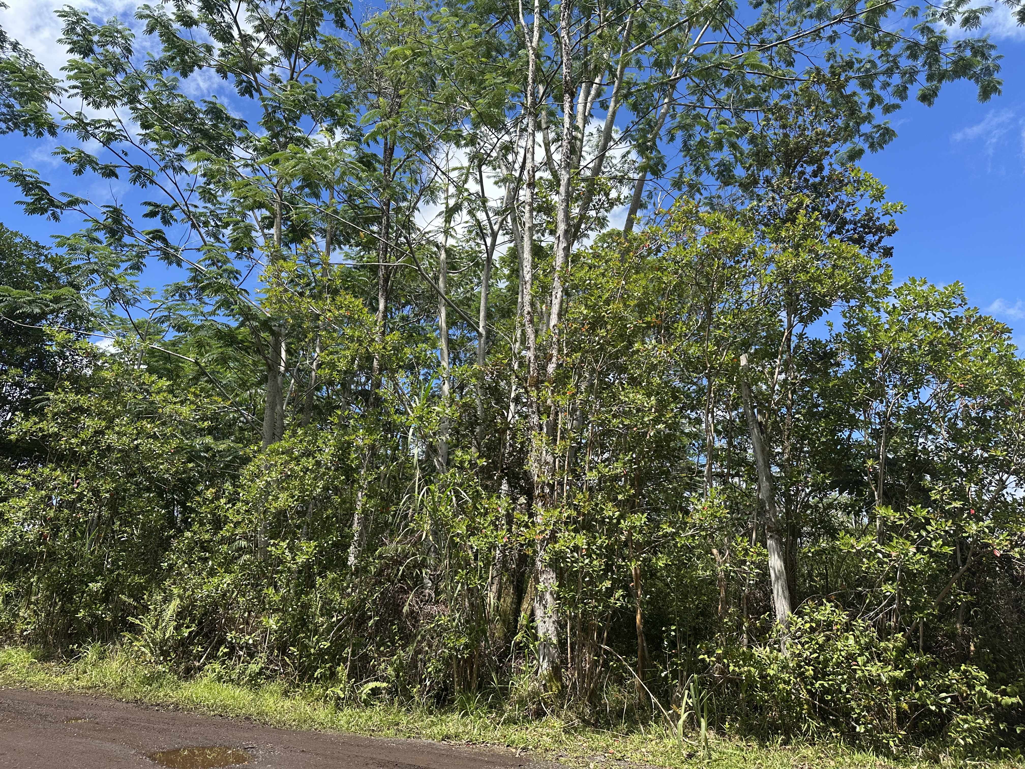 KING KAMEHAMEHA BLVD, Keaau, HI 96749
